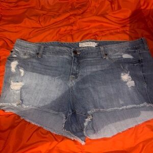 Torrid Size 22 Distressed Shorts
